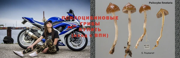 первитин Абинск