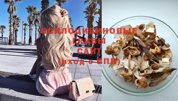 первитин Абинск